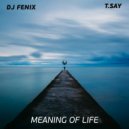 DJ Fenix & T.Say - Meaning of Life (feat. T.Say) (Radio Edit)