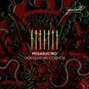 Pessaelectro - Metaphor ()