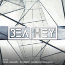 Pirdo & Lelaneth & Nattz - Sir (Nattz Remix)