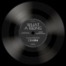 Igor Pumphonia - What A Feeling