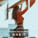 Dj SneiF - Russian Pop Mix 2019 ()
