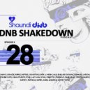 Shaundi DNB Frequencies - DNB SHAKEDOWN 28 ()