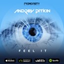 Andrey Pitkin - Feel It