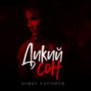 Энвер Каримов - Дикий сон (Original Mix)