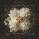Shapesift - Bulan