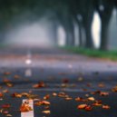 11Wizard - Autumn Melancholy ()