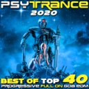Wizack Twizack & Nevarakka - The PCP (Original Mix)