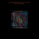 Alexander Koning - Seize Control