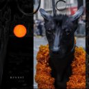 Letus - Critica