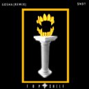 $Not - GOSHA (TOP $HELF Remix)