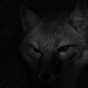 AlisiaFox - TimeToFly ()