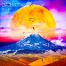 Gadi Mitrani - Willing