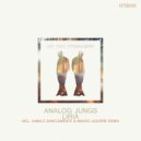 Analog Jungs - Liria (Kamilo Sanclemente & Mauro Aguirre Remix)