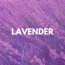 King Jules - Lavender ()