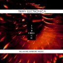 Hipnotic - Hypnotic Groove (Psybient Future IDM Chill)