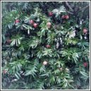 GurtyBeats - Kindling (Instrumental)