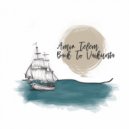 Amir Telem - Back to Vaikunta (Anatolian Sessions Remix)