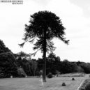 NKN Nightshift - Camera Obscura