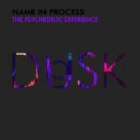 Name In Process - The Psychedelic Experience