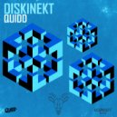 Quidd - Diskinekt (Original Mix)