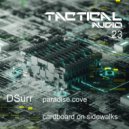DSurr - paradise cove (Original Mix)