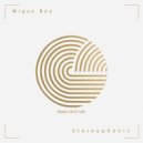 Migue Boy - Stereophonic (Original Mix)