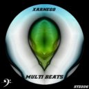 Xarnego - Multi Bits