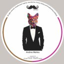 Andrea Matteu - Acidized ()