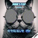 Hunky Fop - Psichedelic Cat