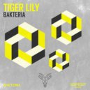 Bakteria - Tiger Lily