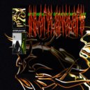 sahara secret's - Transfer Of Mediocrity