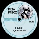 Filta Freqz - Kashmir