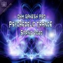 Rainbow Man - Psy Realm