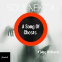 Soulnekta - A Song Of Ghosts (Original mix)