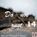 SVnagel (LV) - Do Not Rust-14 SVnagel set