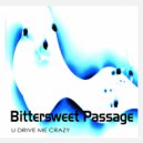 Bittersweet Passage - U Drive Me Crazy (Haiiro Extended Mix)
