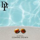 DJ Psycho - Coming Down