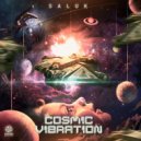 Saluk - Cosmic Vibration