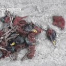 Dadub - I Will Gladly Die (For The Same Reason) ()