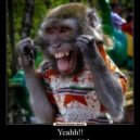 No Data - Yeahh