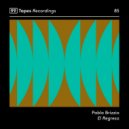 Pablo Brizzio - El Regreso ()