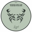 AnthonyMusic, Manub, D-Blind - Disco Jump