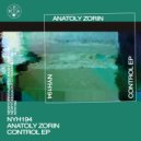 Anatoly Zorin  - Control (Drvg Cvltvre Remix)