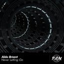 Aldo Briant - Never Letting Go
