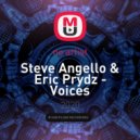 Steve Angello & Eric Prydz - Voices (Negrol Bootleg)