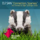 DJ San - Sparkey