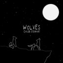 Caleb Stewart - Wolves ()