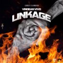 Vindean Vivo - Linkage