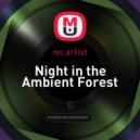 Reso Nance - Night in the Ambient Forest
