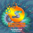 PsykhoFunK - Metal Blaster